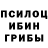 Галлюциногенные грибы Cubensis Marco Dzurban