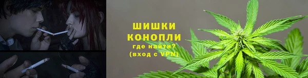 прущие грибы Алексин