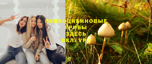 прущие грибы Алексин
